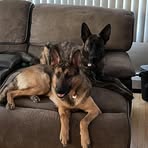 Scot Tapley - Facebook