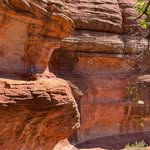 Scott Tapley - @tapley_scott - Instagram