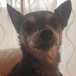Scott Tarvin - @scott_y_t - Instagram