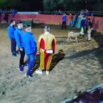 Scott Teal - @scottteal1 - Instagram