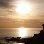 Scott Teeples - @scottteeples - Instagram