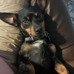 Brian Scott TenEyck - @bsteneyck - Instagram