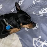 Brian Scott TenEyck - @brianscot_10 - Instagram