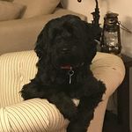Scott Tenney - @tenney66 - Instagram