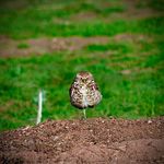 William Scott Tenney - @2tallscott - Instagram