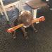 Scott Terrell - Facebook
