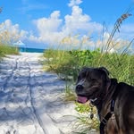 Scott Thackston - @thackstonian - Instagram