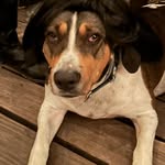 Scott Thomas Mason - @scott_ho_mason - Instagram