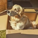 Alex Scott-Thorburn - @alex_scottthorburn - Instagram