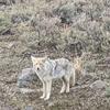 Alex Scott-Thorburn - @alex.scottthorbur - TikTok