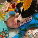 Scott Tigers Hill - @scottytigers - Instagram
