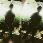 scottytillison - @scottytillison - Instagram