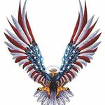 Scott Timmons - @scotttimmons1965 - Instagram