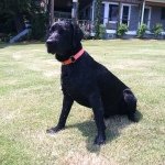 Scott Tinney - @tinneyilm - Instagram