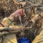 Scott Toler - @scotttoler67 - Instagram