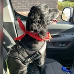 Scott Tolley - @tolley_scott - Instagram