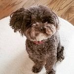 Scott Jill Toole - @toole.scott.jill - Instagram