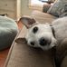 Scott Mitchell Tooley - Facebook