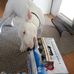 Scott Talia - Facebook