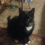 Scott Torell - @scott.torell.75 - Instagram