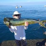 Scott Torell - @scottbtorell - Instagram