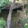 Scott torres😎 - @scott.torres393 - TikTok