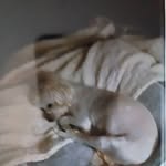 Scott Transue - @transue.scott - Instagram