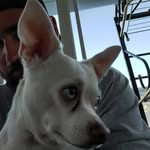 Scott Trapp - @scott.trapp.5 - Instagram