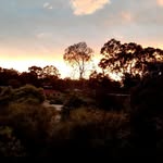 Scott trapp - @trapp8741 - Instagram