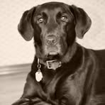 Scott Tremper - Facebook