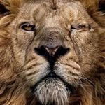Scott Treweek - @treweekscott - Instagram