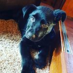 Scott Tribble - @tribble.scott_1776 - Instagram