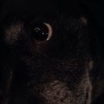 Scott Tribble - @cbblim12 - Instagram