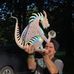 Scott Tribble - Facebook