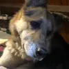scotttribble03 - @scotttribble03 - TikTok