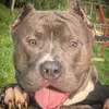 Scott Triggs - @scott.triggs - TikTok