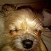 Scott A Trobaugh - Facebook