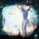 Scott Troost - @troost.scott - Instagram