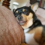 Scott Trullinger - @scott_trullinger - Instagram