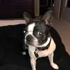 Scott Trunzo - @scotttrunzo - TikTok