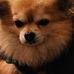Scott Tsang - Facebook