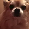 scotttsang4 - @scotttsang4 - TikTok