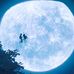 Scott Tseng - Facebook