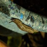 Scott Tseng - @scotttseng123 - Instagram