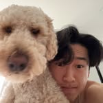 ty scott tseng - @tystseng - Instagram