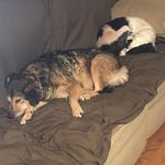 Scott Tussey - @scott.tussey.1 - Instagram