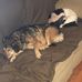 Scott Tussey - Facebook