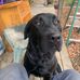 Scott Tussey - Facebook