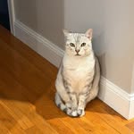 Scott Twigg - @scott_twigg_wv - Instagram
