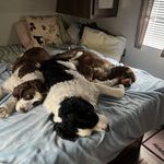 Scott Twiss - @twissscott - Instagram